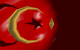 bayrak-anim3.gif (60768 bytes)